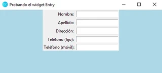 Separando elementos con padx y pady